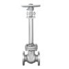 Cryogenic cast steel gate valve