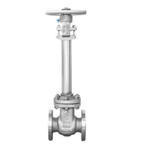 Cryogenic cast steel gate valve
