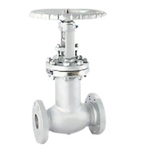 Cryogenic cast steel gate valve