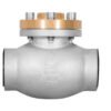 Low temperature check valve