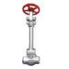 Cryogenic Forged Steel Gate Valve