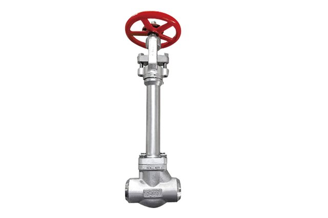Cryogenic Forged Steel Gate Valve