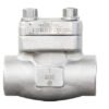 Cryogenic Forged Steel Check Valve