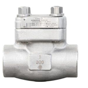 Cryogenic Forged Steel Check Valve