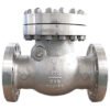 Cryogenic cast steel check valve