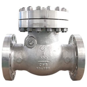 Cryogenic cast steel check valve