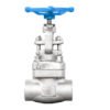 Normal temperature forged steel gate valve