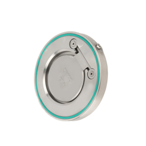 Wafer type swing check valve